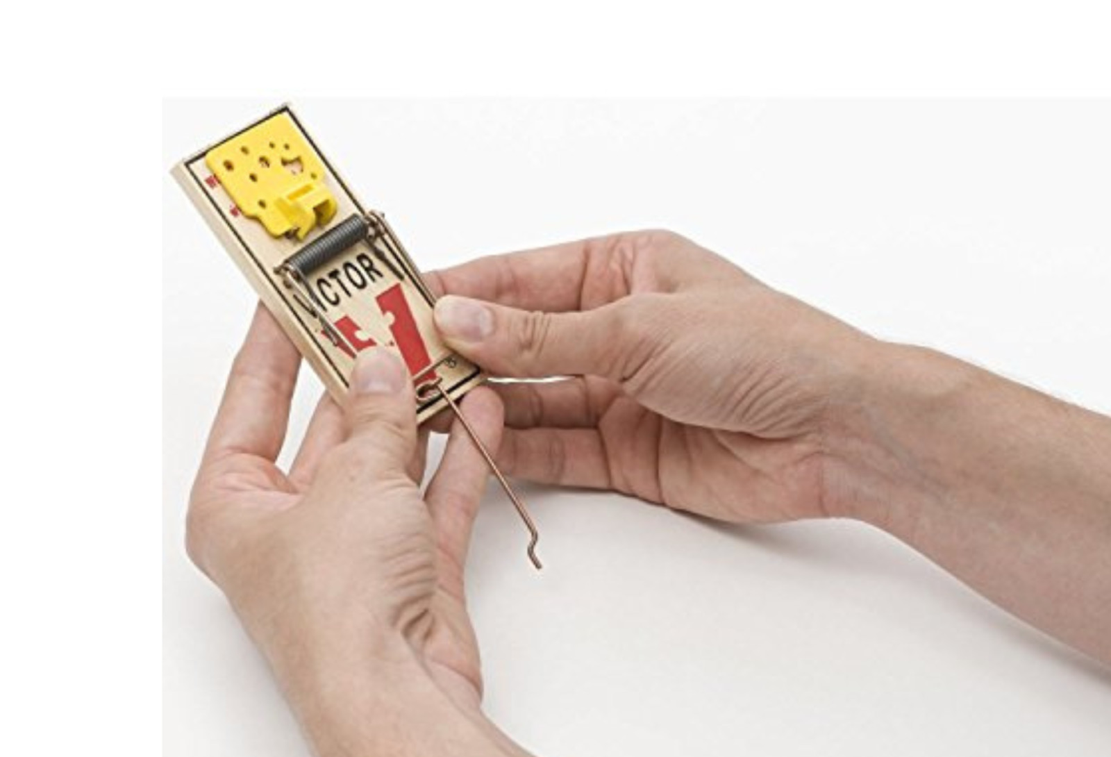 Mouse Trap - ( 4 Count )