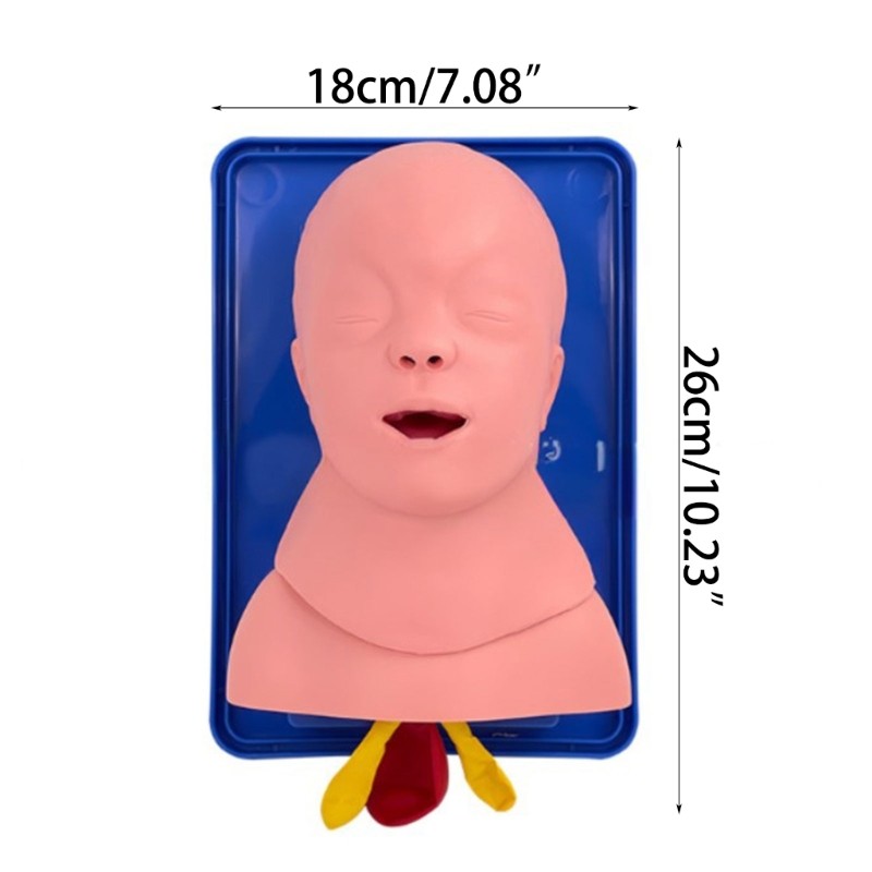 Infant Intubation Training Model for Training Institutions