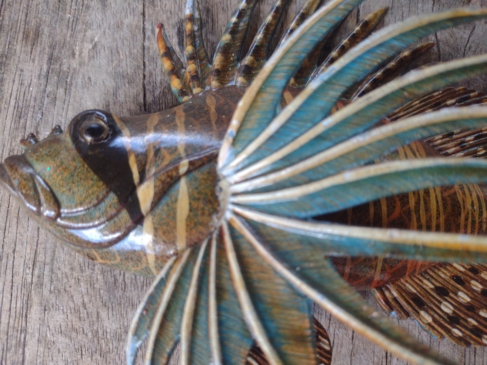 See Lion Wall Decoration