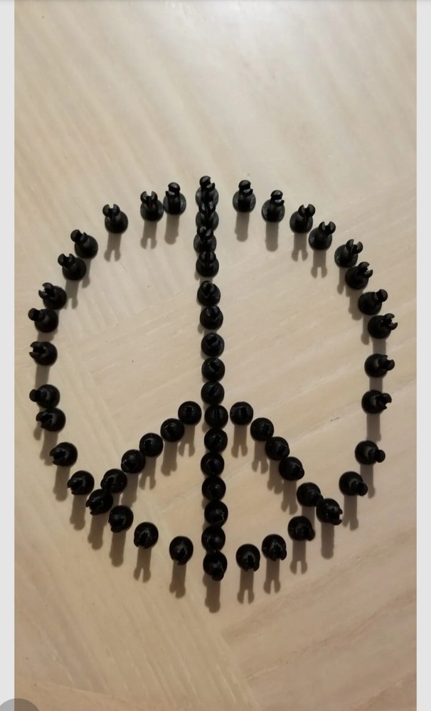 1 New, Neptune Water Meter locking Pin.