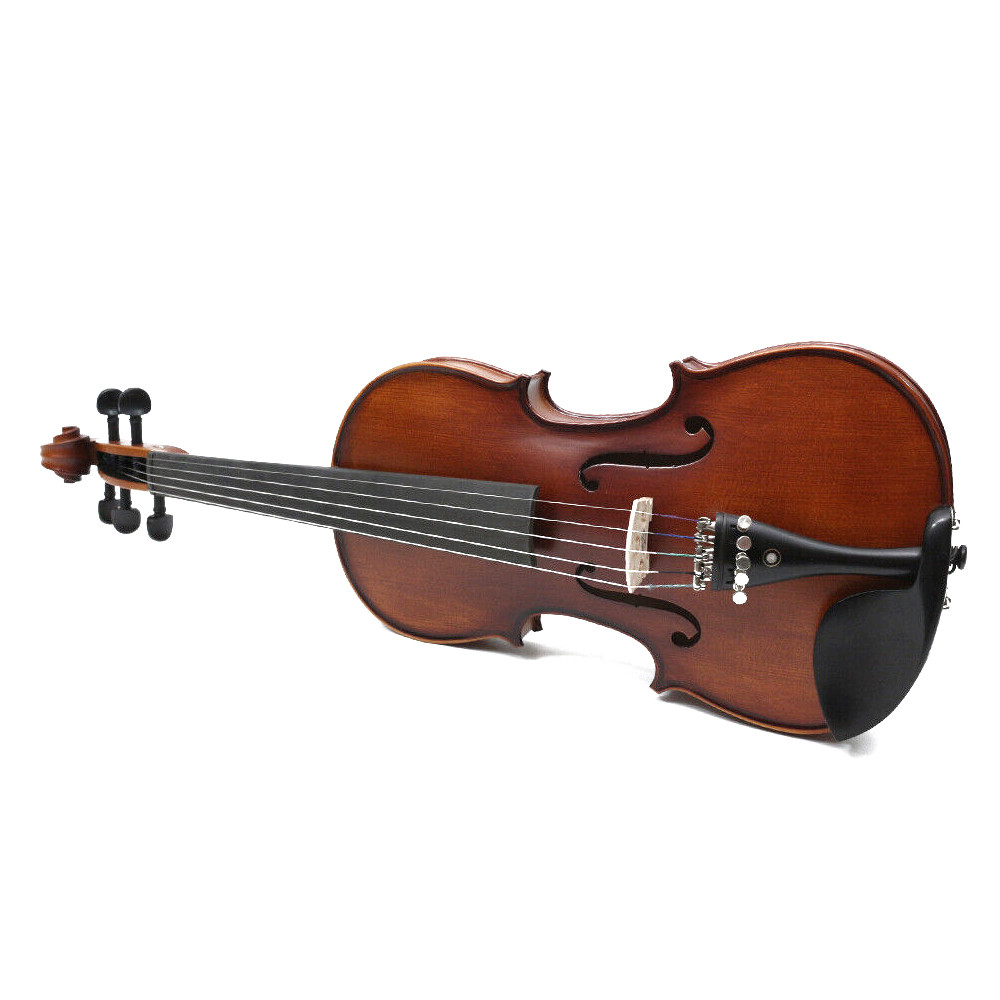 4/4 Violin 5 String Handmade with Accessories for Student Beginners Nice Sound