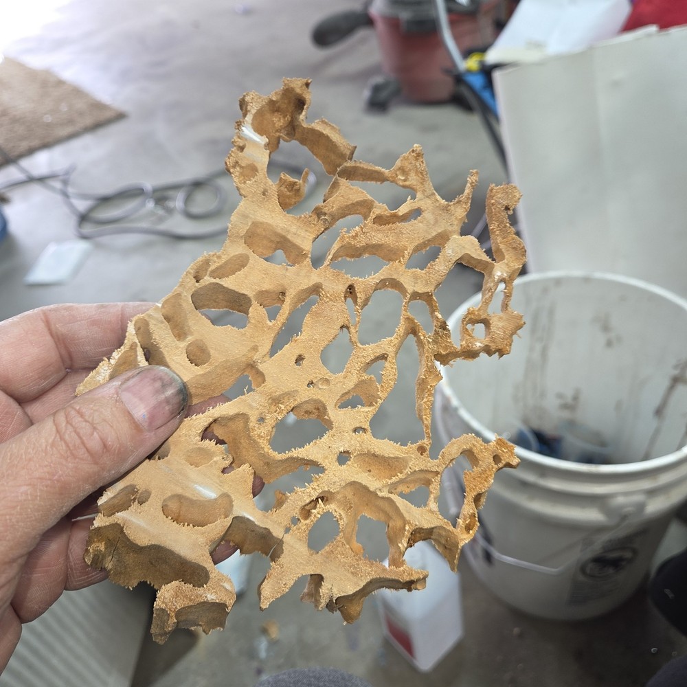 Unbelievable pattern termite wood for resin and other projects