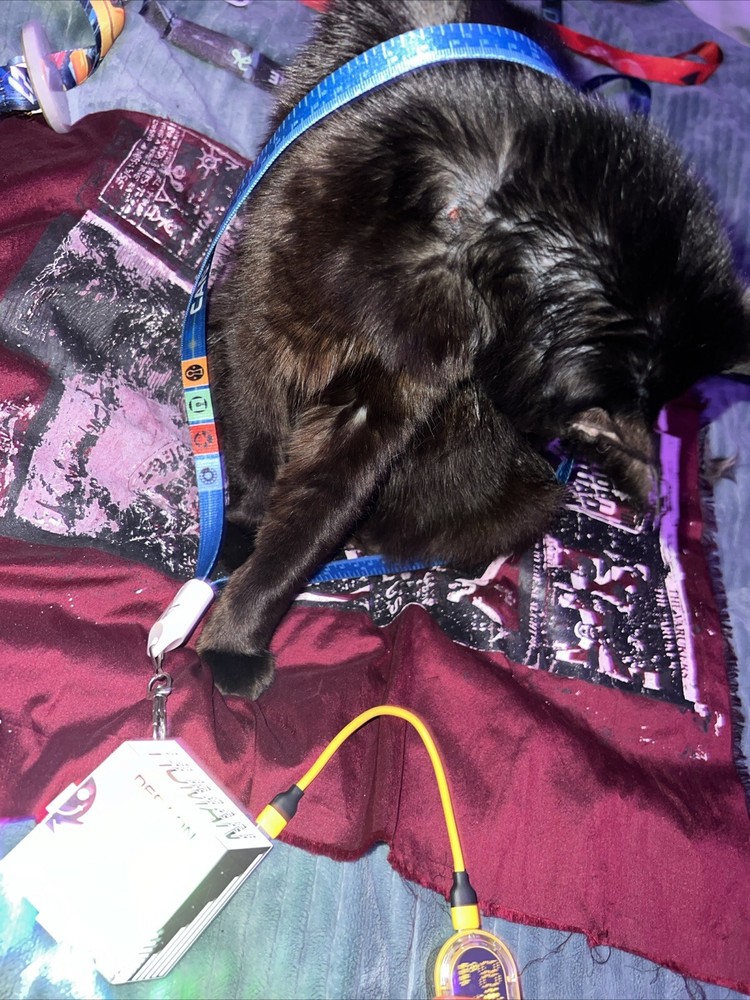 DEFCON BADGE Defcon 29 2021(working W/leds) *missing a easily replacable key or2
