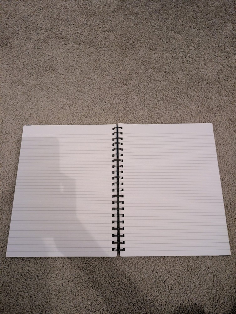 Steamboat Willie notebook