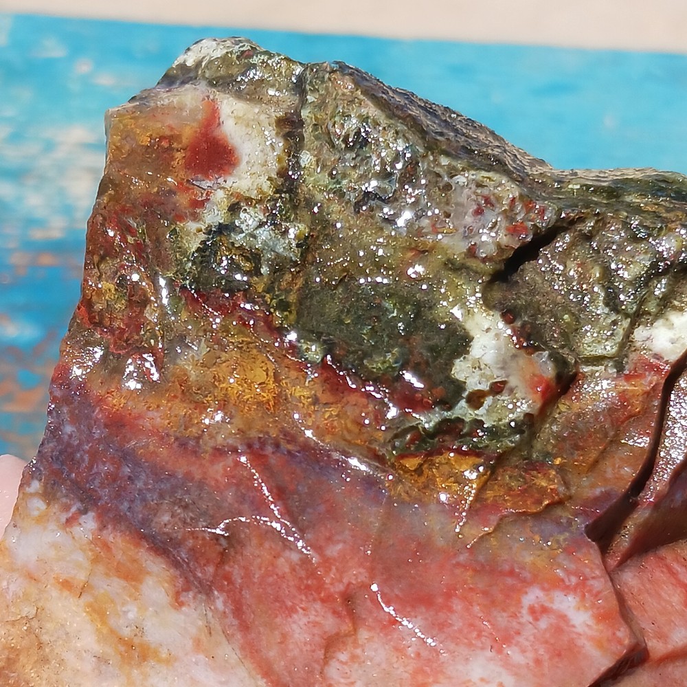 Murray Mountain Jasper Unique Rough Lapidary Potential