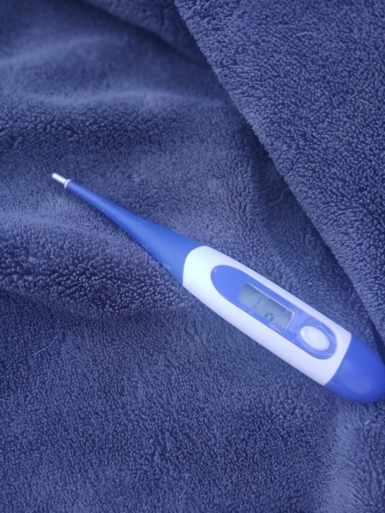 Digital Kroger Thermometer Low Battery Temperature