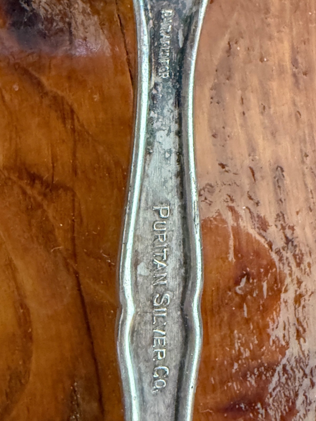 Puritan Silver. Co 1914 GRAPE Silverplate 5&7/8” Teaspoon