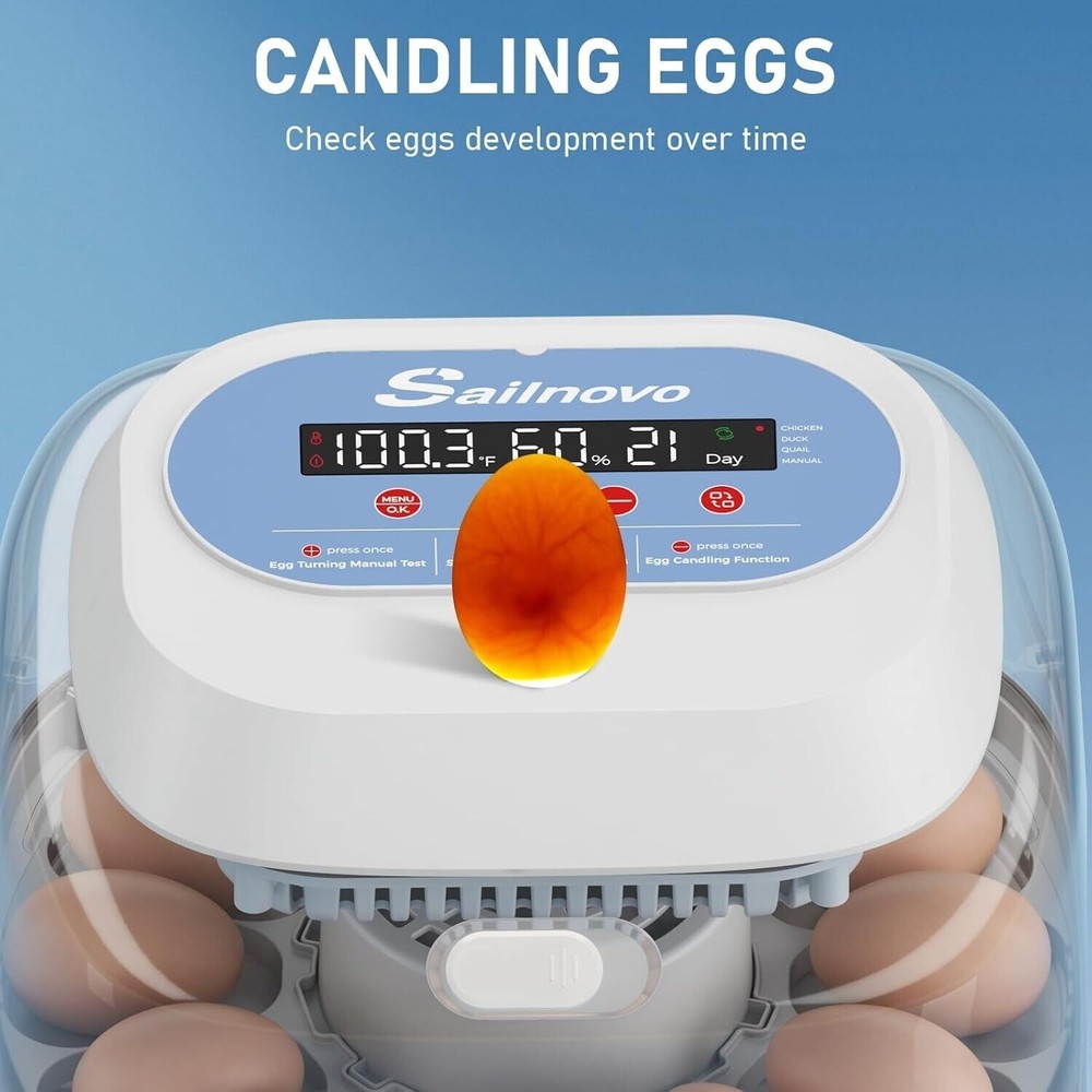 12 Egg Incubators for Hatching Eggs w/ 360° View Automatic Egg Turning&Display🎇