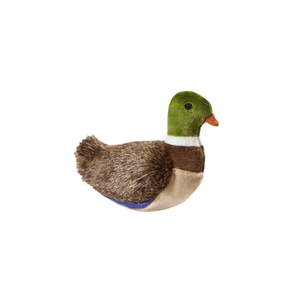 Morley Mallard