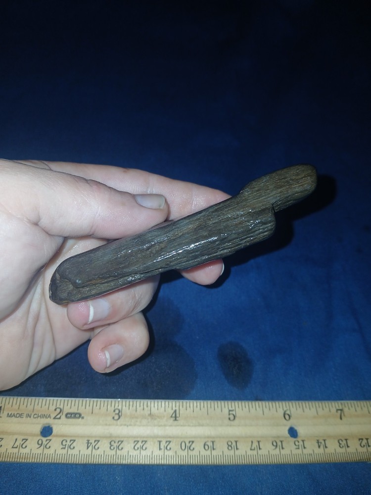 5 oz Texas Black Petrified Wood