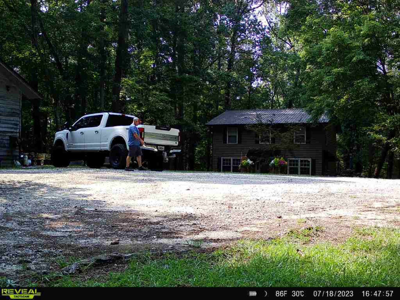 Tree Mount for Trail Camera Dual Ball Swivel