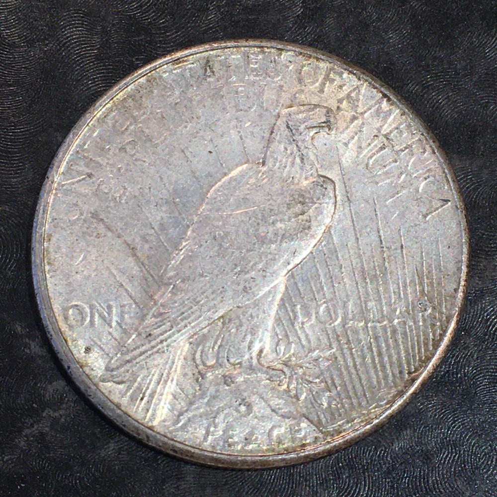 1925-S Peace Silver Dollar - High Quality Scans #806
