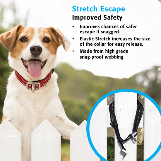 Rogz Dog Collar - Safety Stretch Release Collar - Medium / Large / Extra Large