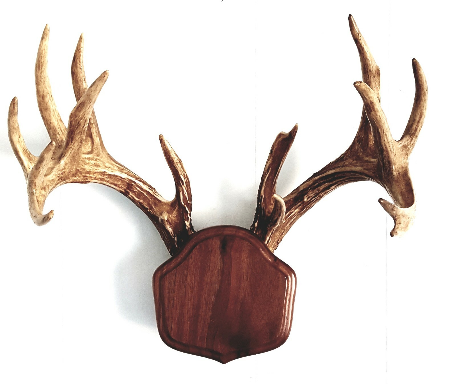 Black Walnut The Deer Stand Antler Mounting Kit