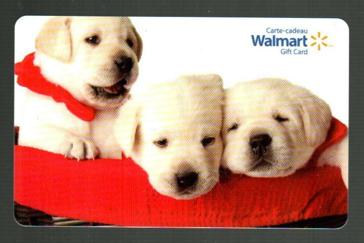 WALMART ( Canada ) Sleeping Puppies 2011 Gift Card ( $0 )