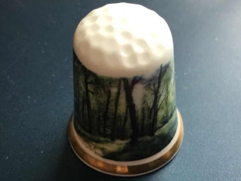 Centre Parcs Forest scene     - thimble - A1
