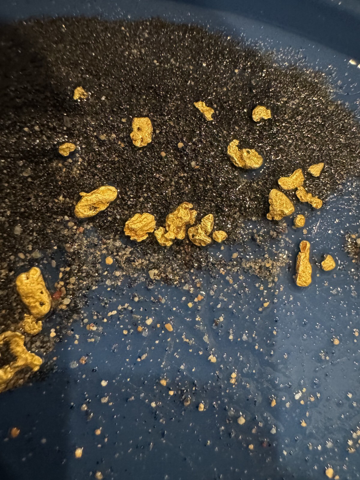 Presidential 10 Gram Gold Nugget Hunt Rich Unsearched Paydirt With Added Gold