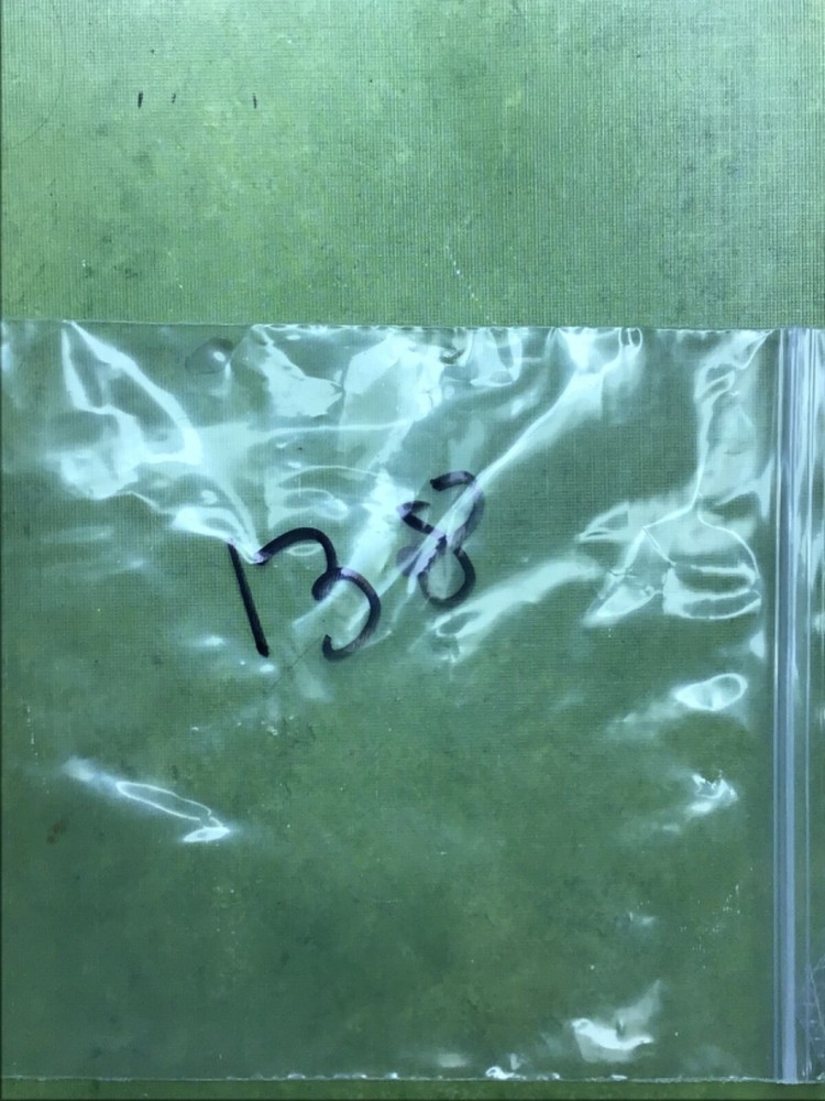 2 US Army Branch Name Tapes