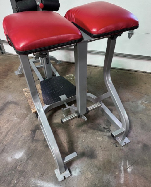 Promaxima | Plate Loaded FrankenHyper (GHD & Reverse Hyper Combo)