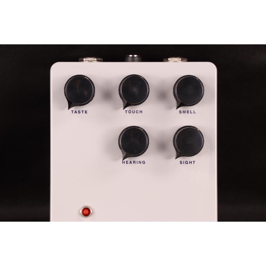 Masf Pedals Possessed Random Delay Guitar Effect Pedal