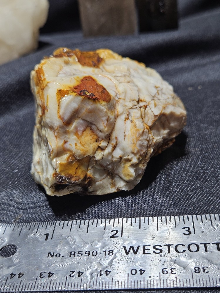Petrified Wood Fully Opalized Natural Form (9.9oz)
