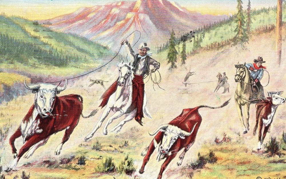 GATHERING WILD CATTLE - PC2633