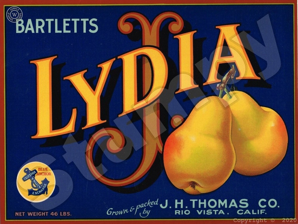 Lydia brand Pears label Metal Sign 9" x 12"
