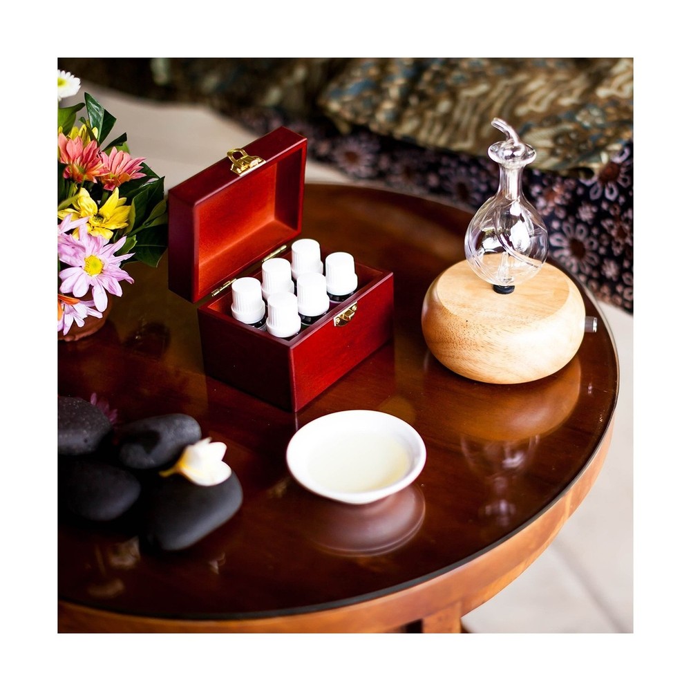 Radiance Nebulizing Diffuser for Pure Essential Oil/Aromatherapy, P... Fast Ship