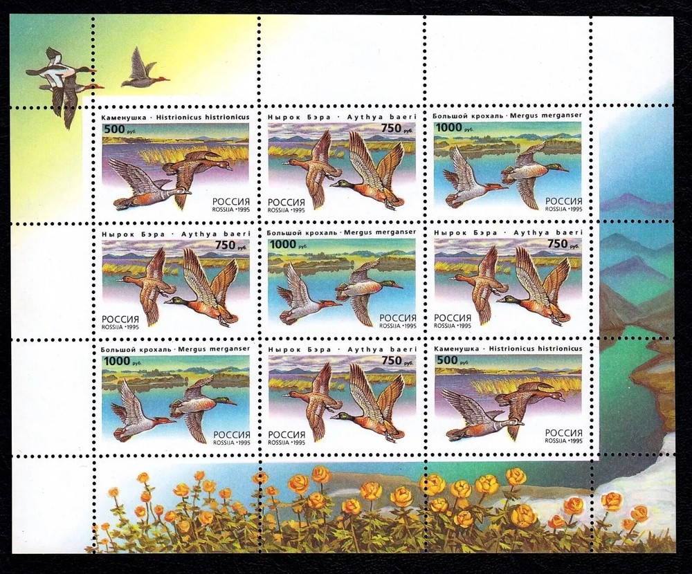 Russia, #6286a Ducks 1995 Mini Seet, 9v, MNH