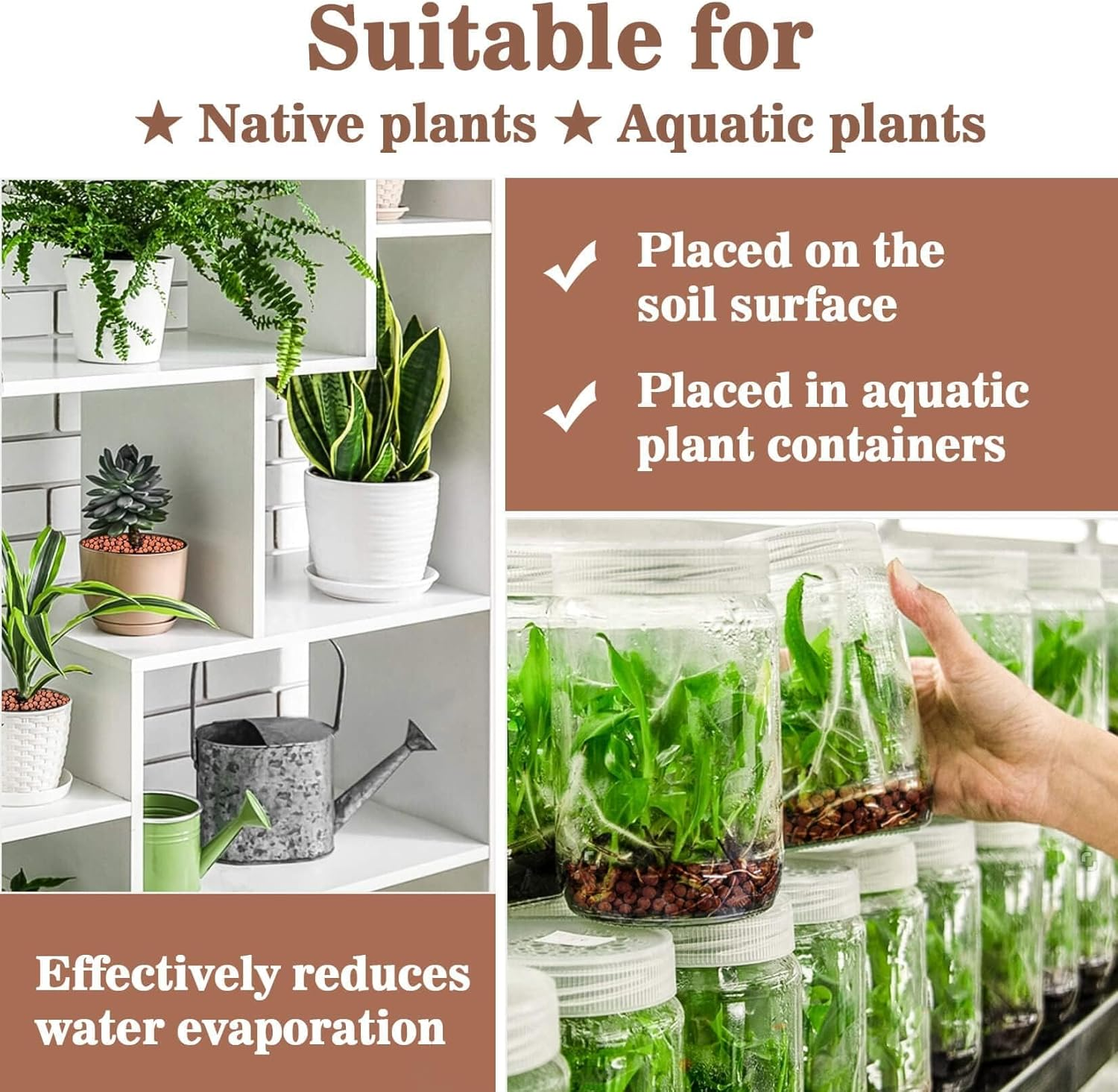 Clay Pebbles for Plants Pebbles Indoor Plants Natural Clay Drainage Decoration