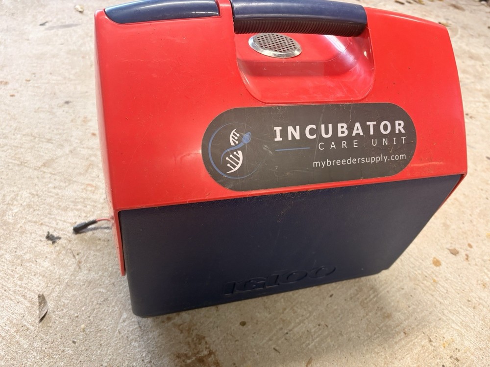 Portable Puppy Incubator