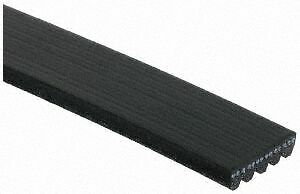 Serpentine Belt Gates K050271