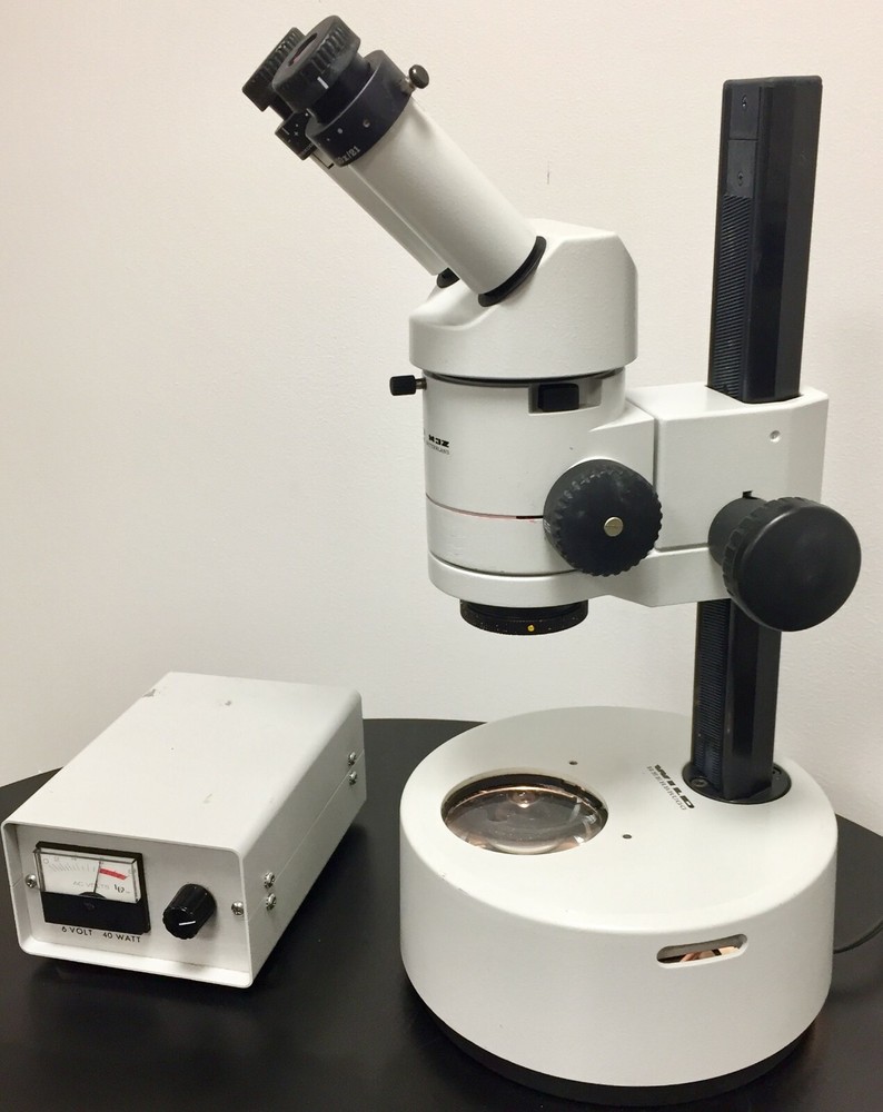 Heerbrugg WILD M3Z Stereo Zoom Microscope w/ Light Source