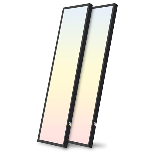 1x4 FT LED Flat Panel Selectable CCT Flush Mount 1x4 FT 2-Pack Black