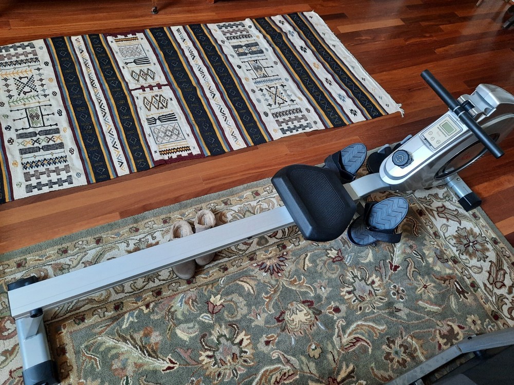 Sunny Rowing Machine Sf-rw5612