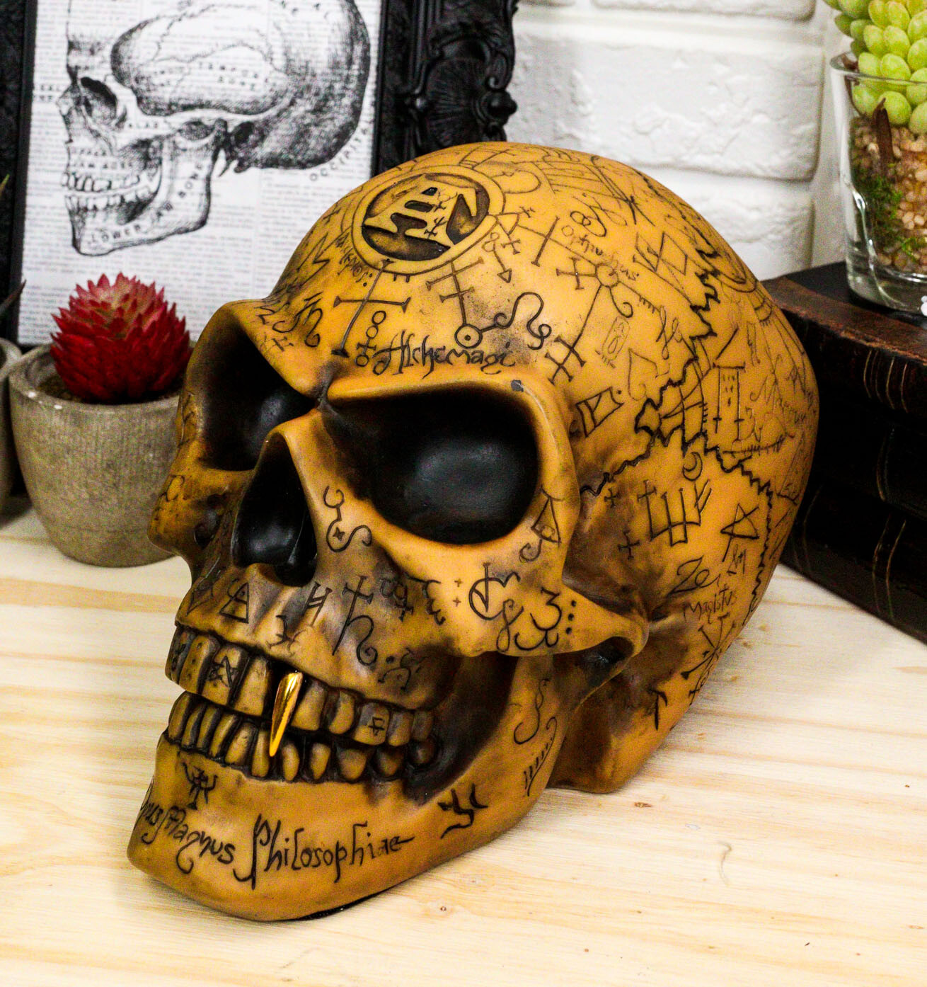 Ebros Alchemy Alpha Omega Ancient Mystical Symbols Skull Sharp Canine Figurine