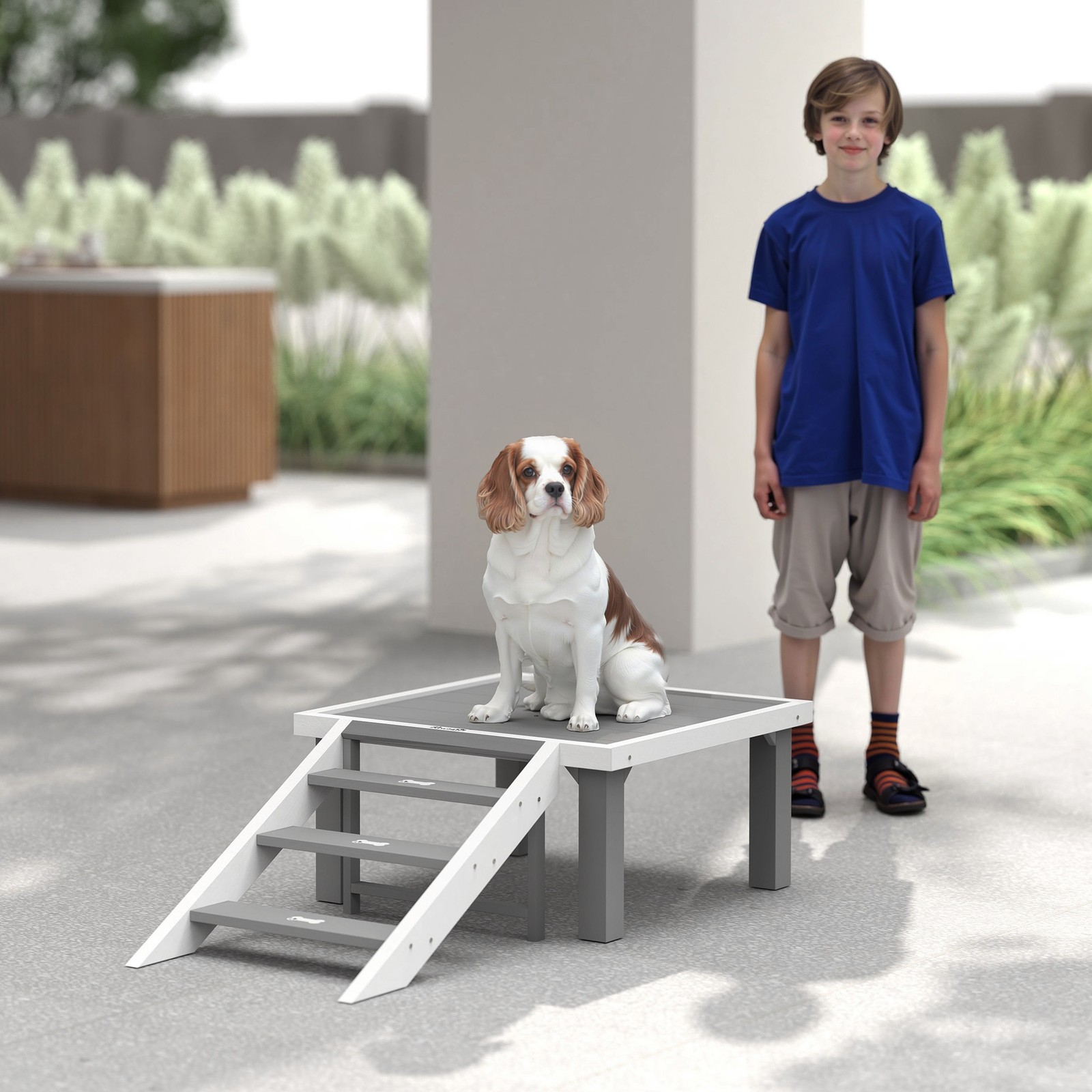 PawHut Wooden Dog Training Platform, Pet Training Place Board, Gray