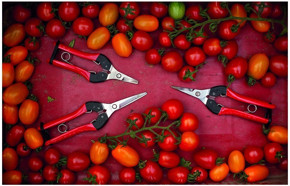 Felco 322 Picking & Trimming snips with steel handles,straight 190mm blade