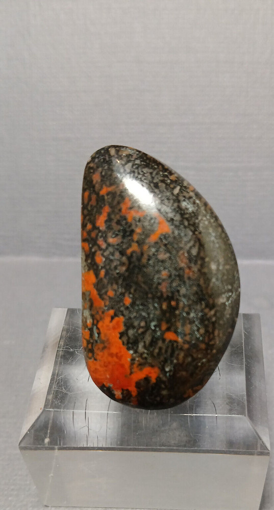 Dinosaur Bone Cabochon - With Large Red Agate Cells