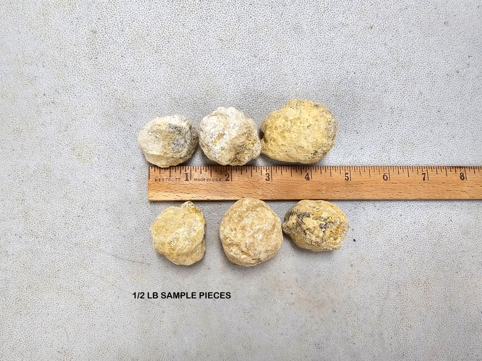 Break Your Own Geodes Unbroken Quartz Crystal Geode with Sparkly Crystals Inside