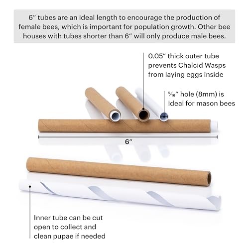 Premium Cedar Bee House - 6” Long Replaceable Tubes - Perfect for Mason Modern
