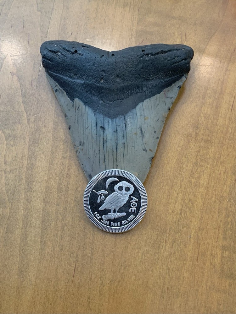 Random Date Niue Athena Owl - 1 oz Silver