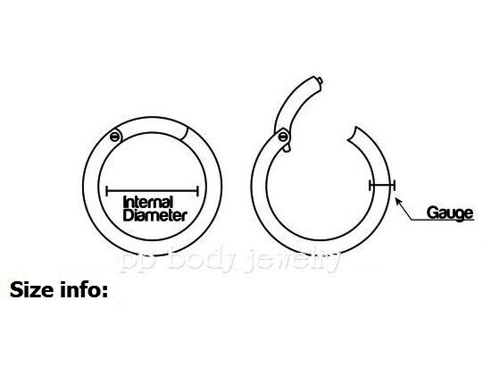G23 Titanium Hinged Seamless Segment Ring Hoop Nose Ring Earring Labret Septum