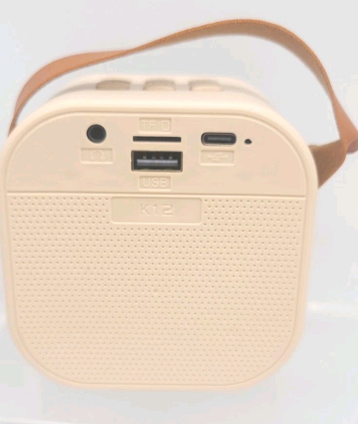 Wireless Mini Karaoke Machine 2 Microphones Bluetooth Speaker Lights