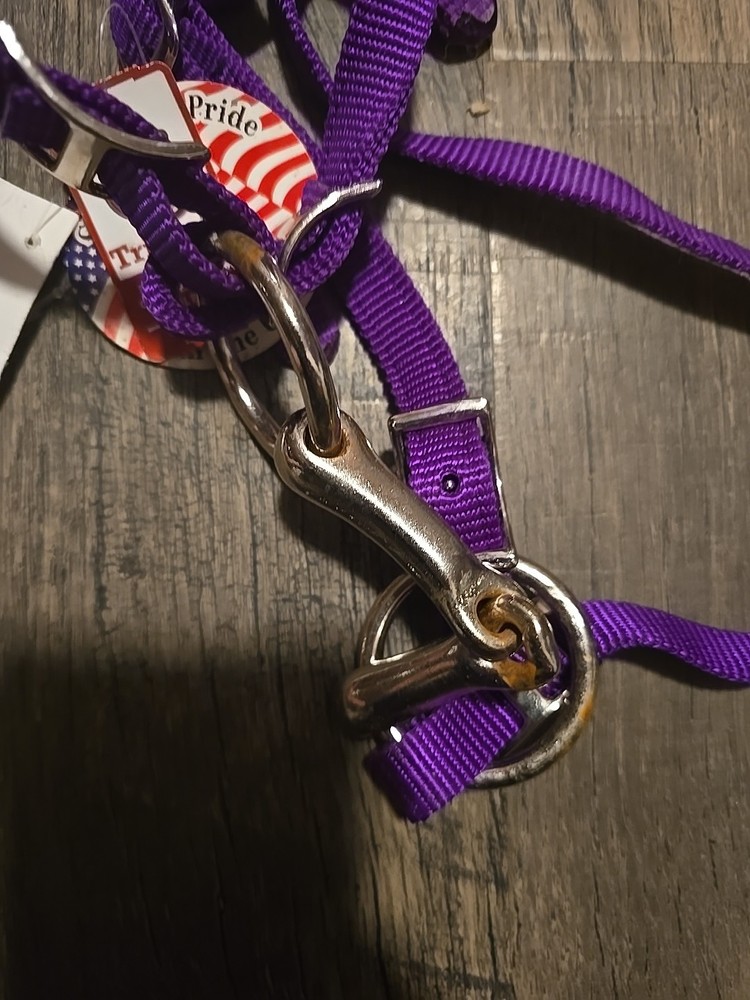 mini horse bridle
