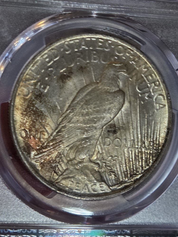 1922 $1 Peace Dollar PCGS MS65 Toned