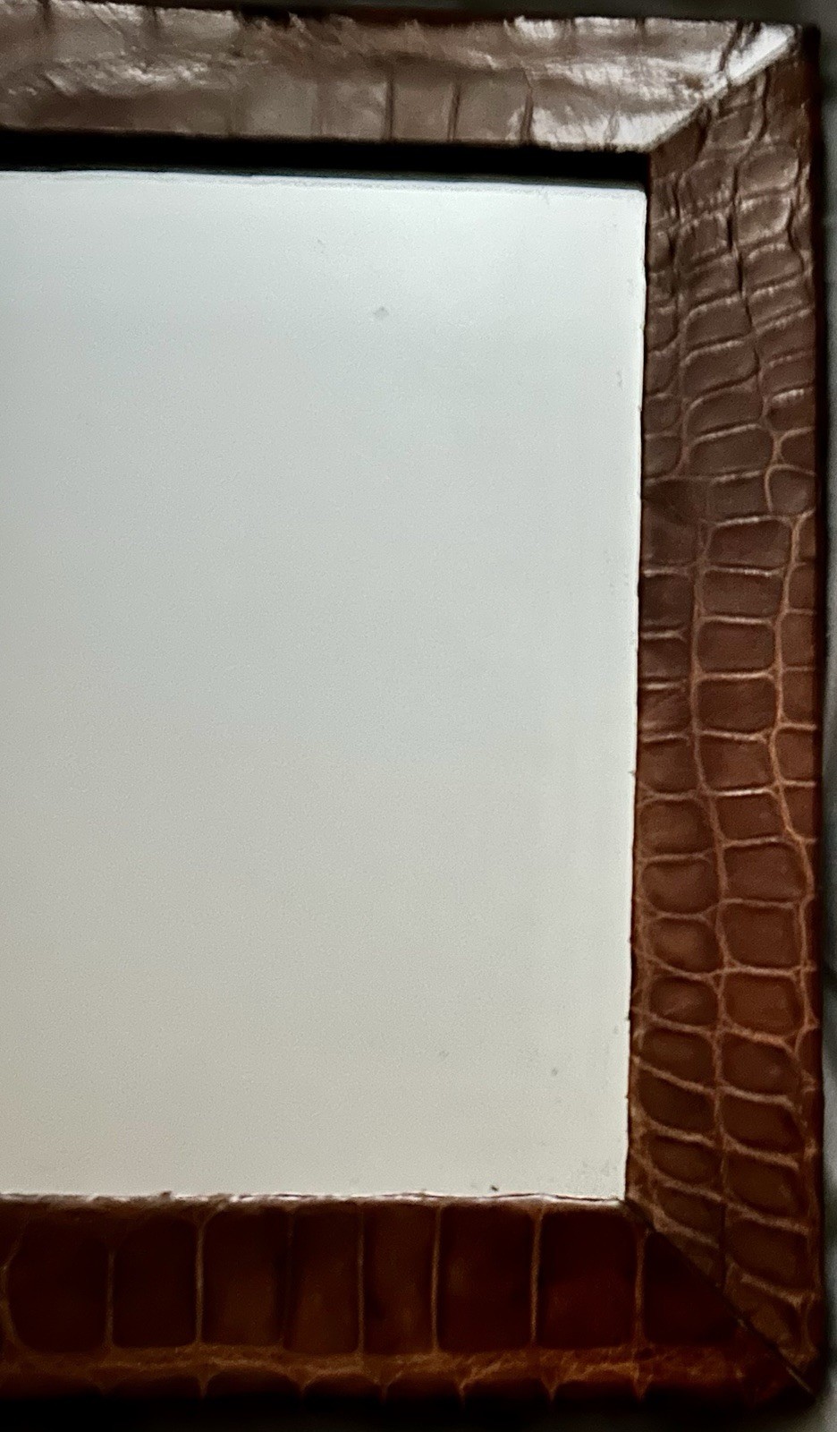 ANTIQUE CROCODILE Skin Picture Frame with Mirror BEAUTIFUL 8.5”x 10.75” GENUINE