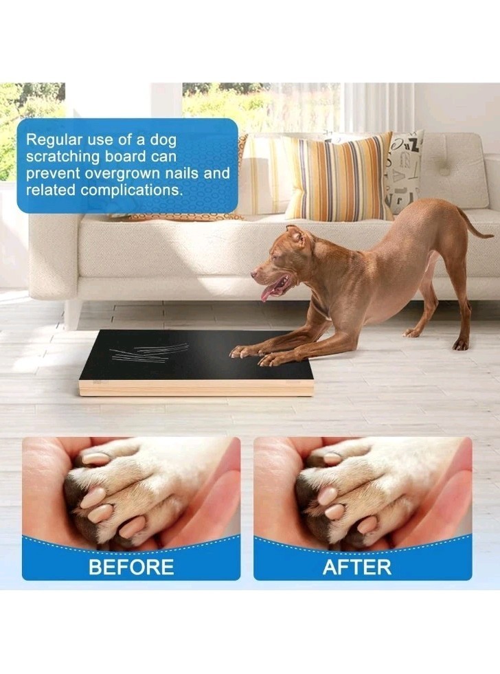 Dog Nail Scratch Board-Scratch Pad w/ Treat Box-Nail File New