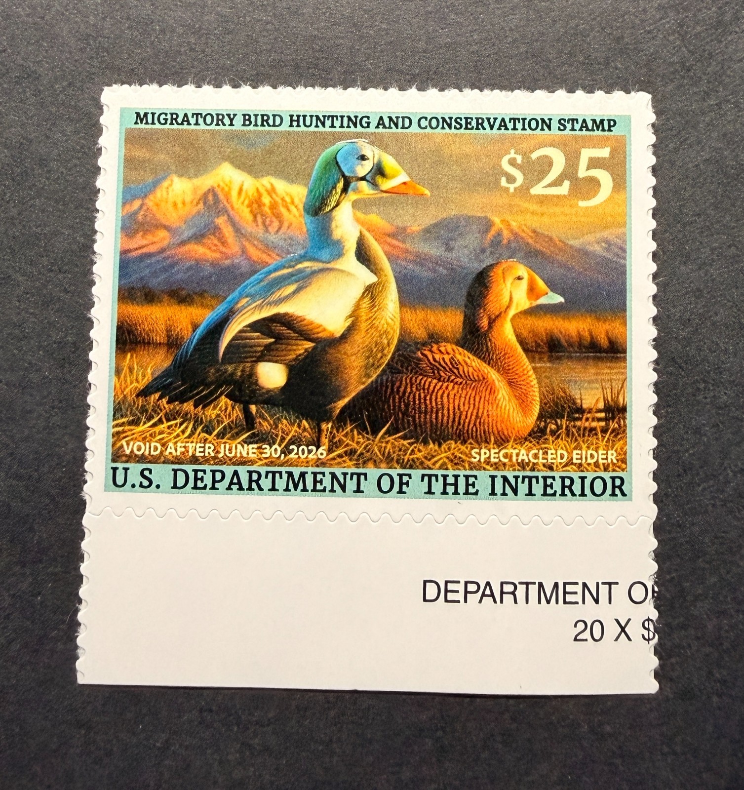 WTDstamps - #RW92 2025 - US Federal Duck Stamp **ADAM GRIMM**  Mint OG NH