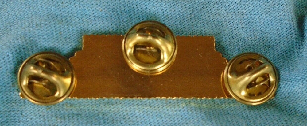 303rd Fighter Squadron pin